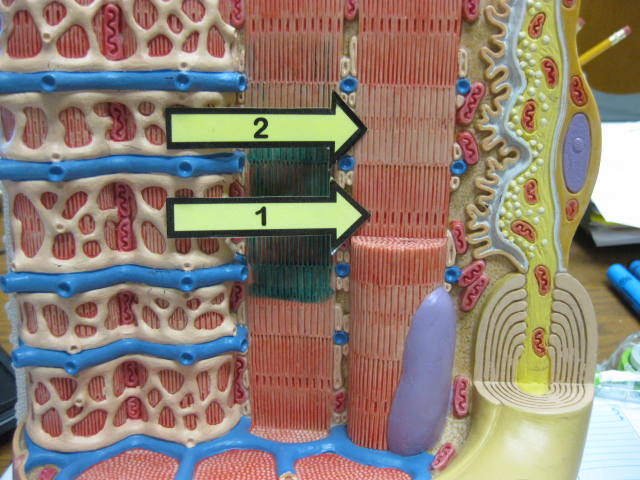 <p>What is at #2?</p>