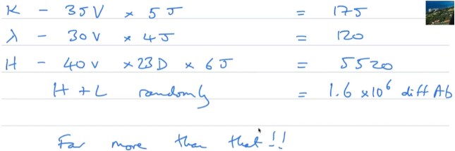 <p><span style="background-color: transparent;"><strong>[1] &amp; [2] chain recombination CONT’D</strong></span></p><p>[3] diversity: each [1] chain can combine with any [2] chain, and these combinations of kappa &amp; lamba [2] chain + [1] chain creates sooo many [4] specificities…. but there are even MORE than listed here thanks to [5] diversity</p>