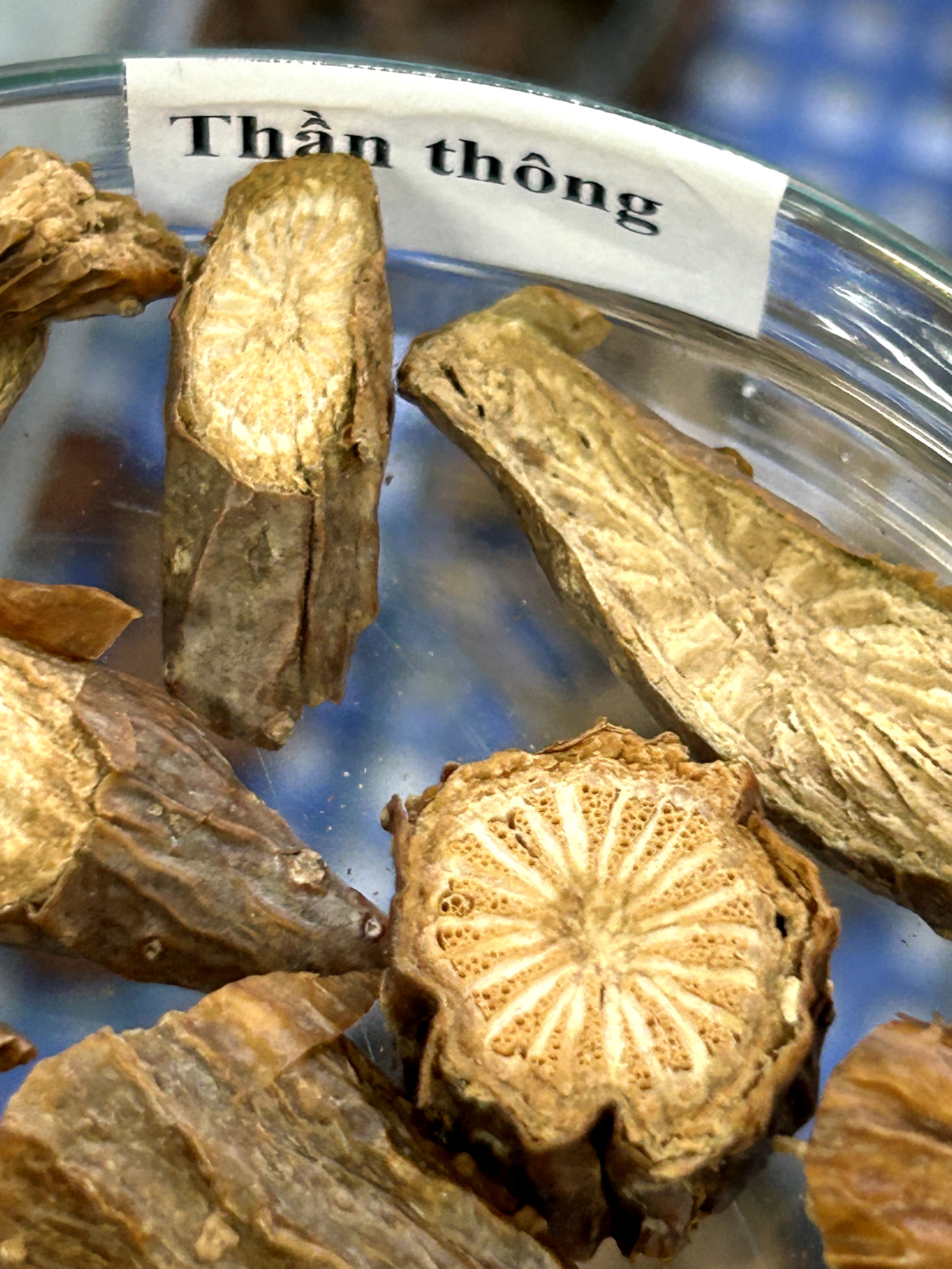 <p>thần thông</p>