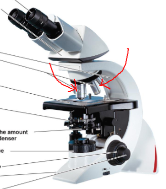 <p>What part of the microscope is this</p>