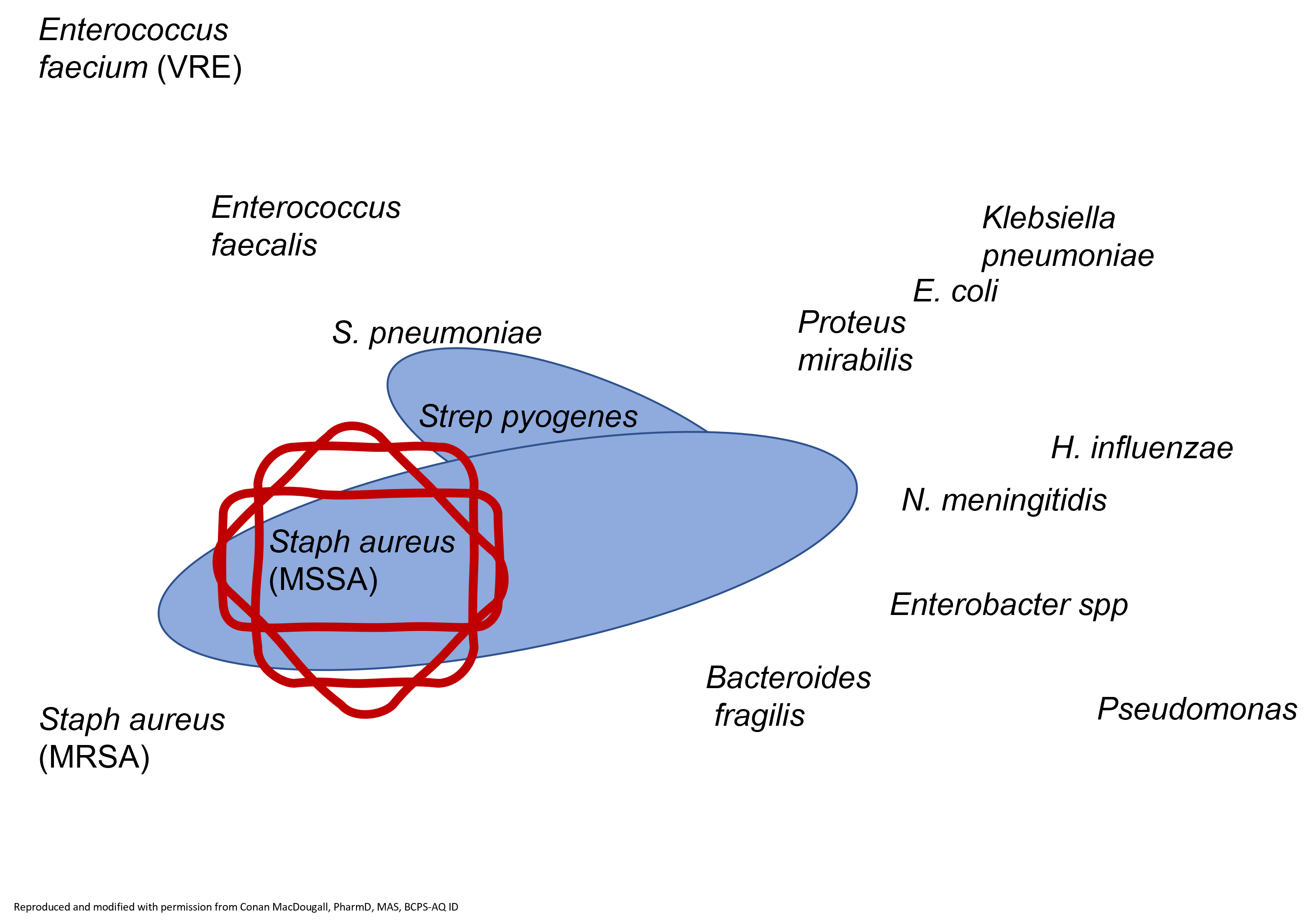 <p>name of the drug</p>