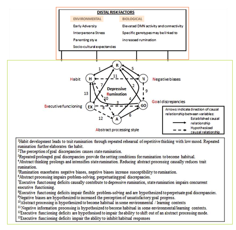 <p>On peut le comprendre grâce au <strong>modèle H-EX-A-GO-N </strong>de Watkins &amp; Roberts, qui intègre les facteurs <span style="color: rgb(249, 158, 53);">distaux </span>(qui prédisposent) et <span style="color: rgb(156, 207, 138);">proximaux</span> (qui maintiennent)</p>