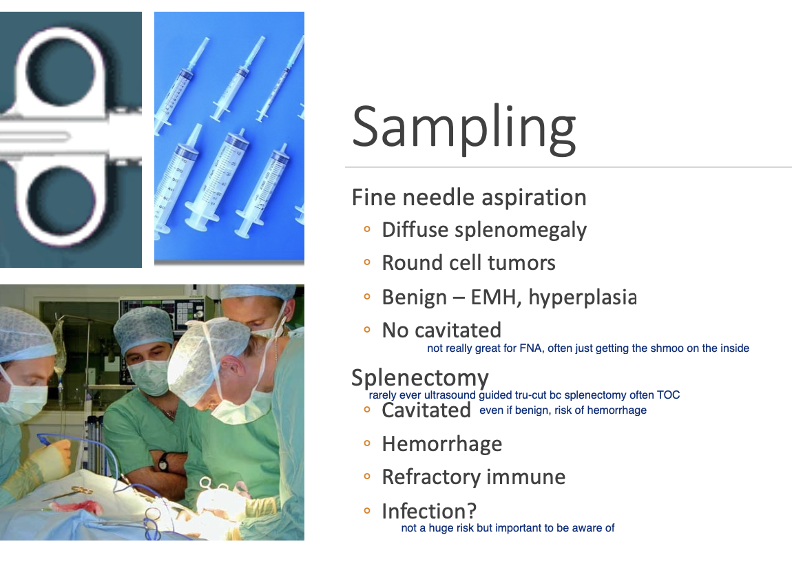 <p>Splenectomy > splenic biopsy</p>