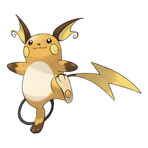 <p>What type is Raichu?</p>