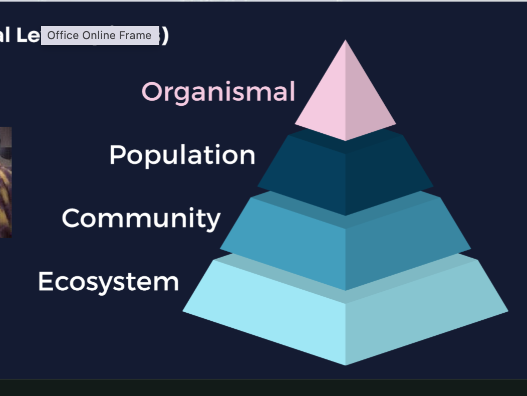<p>there’s four. you START at the top with… organismal. then population, community, and ecosystem</p>