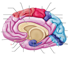 <p>1</p>