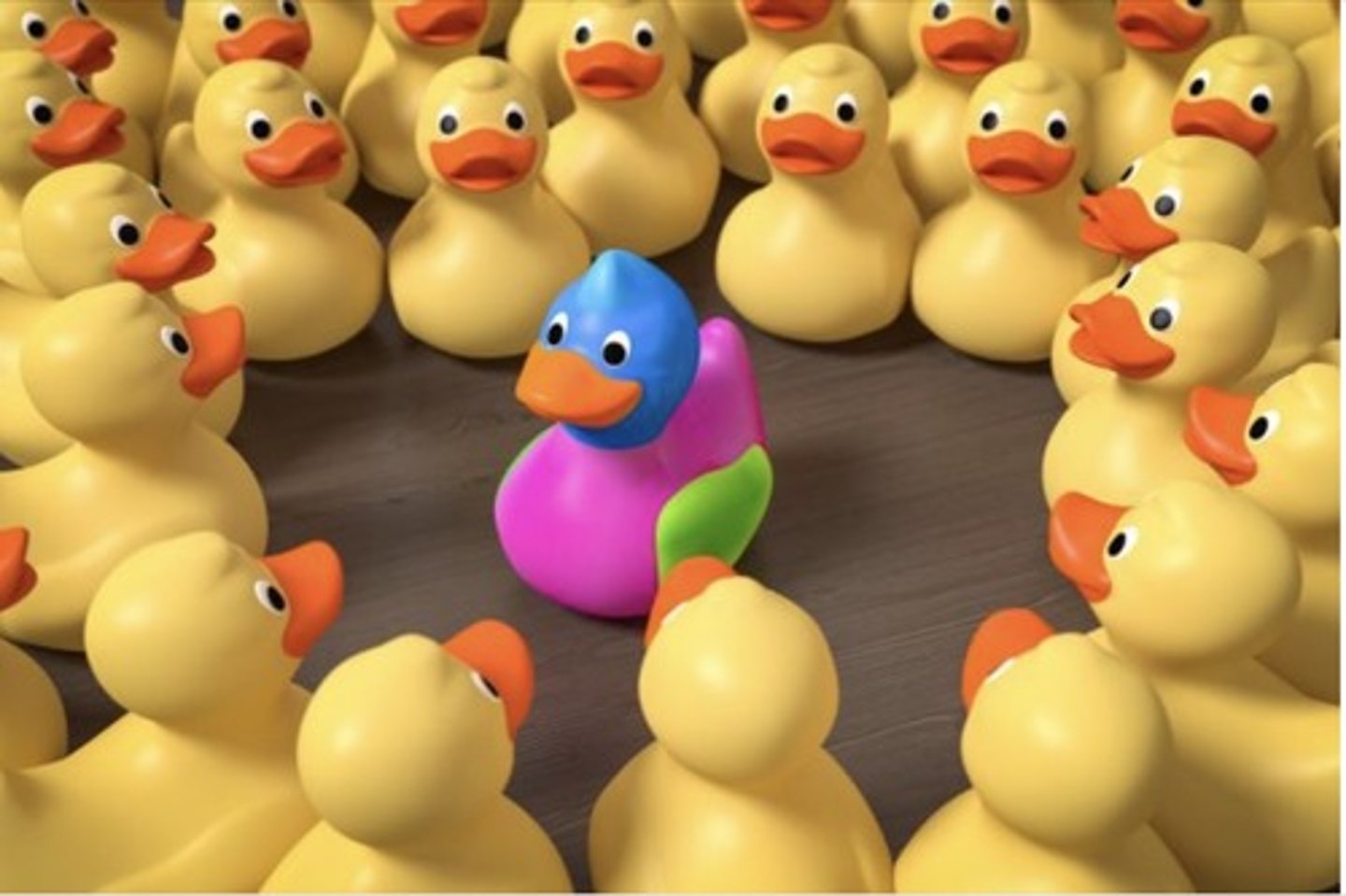 <p>in the center, in the center there is a pink, blue and green duck</p>