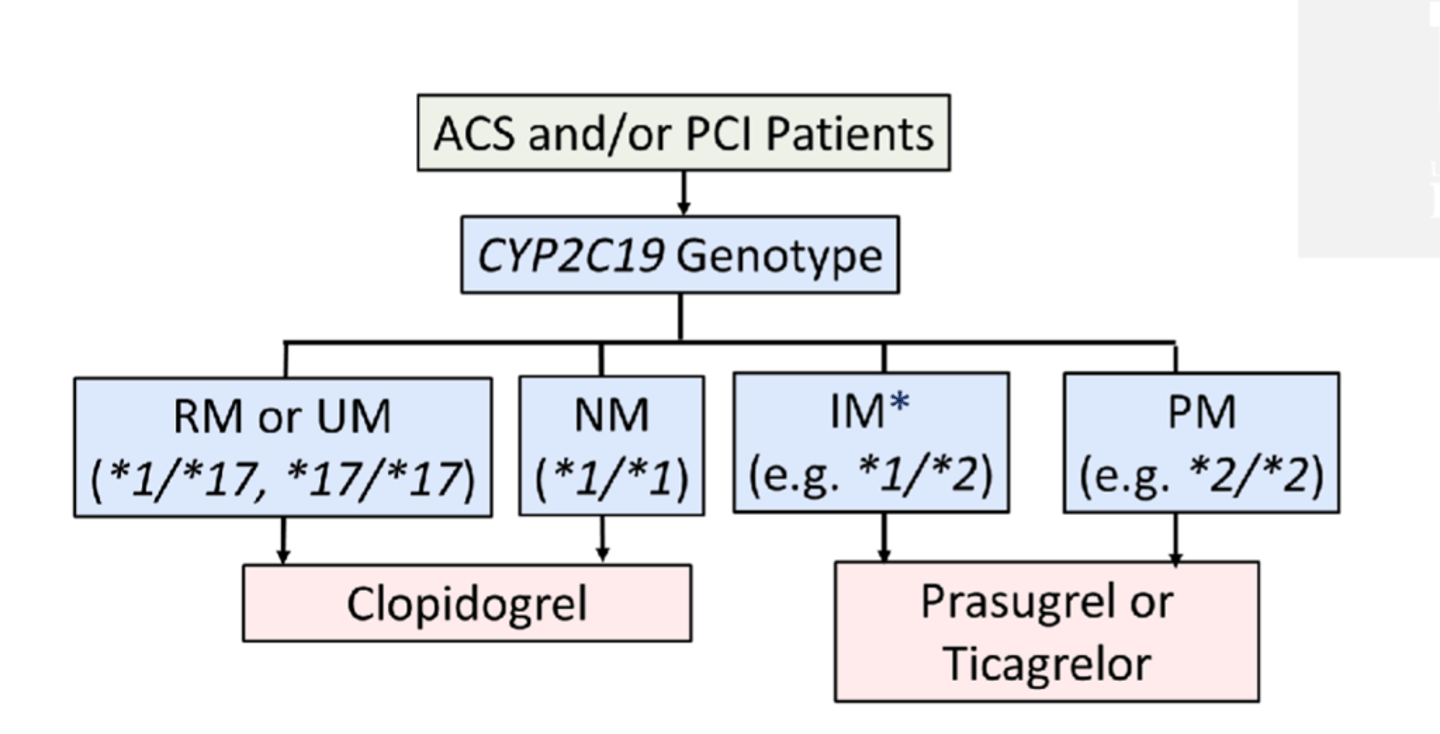 <p>• Since Plavix is a prodrug and requires CYP2C19 activation, genotyping is helpful to determine is Plavix will work </p><p>• *2 - *8 is associated with no function proteins (*3 is worse than *2) </p><p>• *17 is increased function </p>