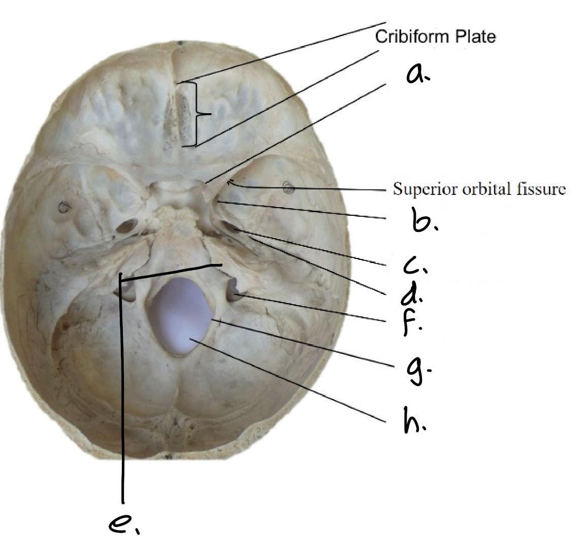<p>b.</p>