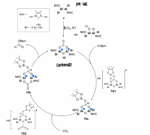 <p>The dialumene was found to fixate CO2, which formed a carbonyl in the absence of further CO2, or a carbonate in the presence of further CO2.</p><ul><li><p>The carbonate formation is important in the catalytic reduction of CO2, which goes on to react in the catalytic cycle to form a carboxylic acid.</p></li></ul><p></p>