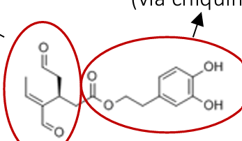<ul><li><p>nome da planta</p></li><li><p>local da planta</p></li><li><p>nome das molecula</p></li><li><p>atividade farmacologica </p></li></ul><p></p>