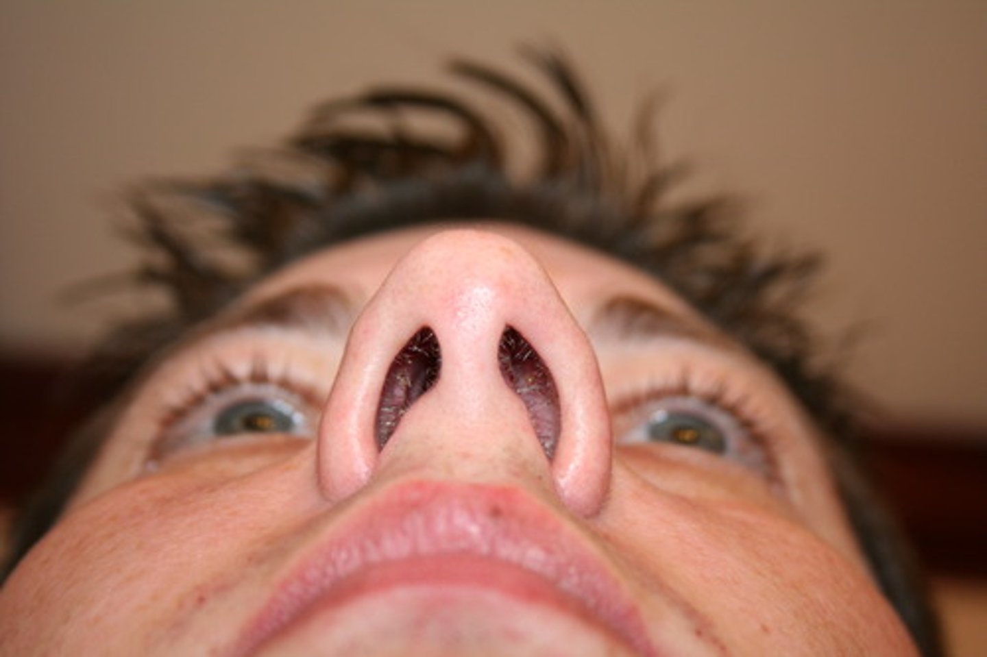 <p>these are the two holes in your nose</p>