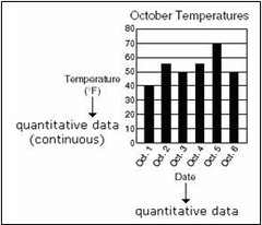 <p>numerical data</p>