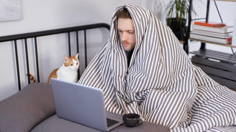 <p>call in sick</p>