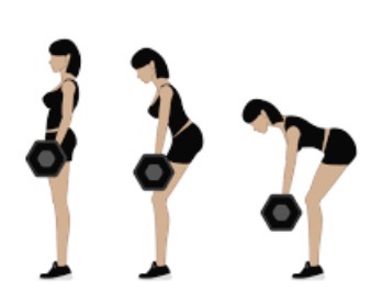 <p>Romanian deadlift target muscle</p>