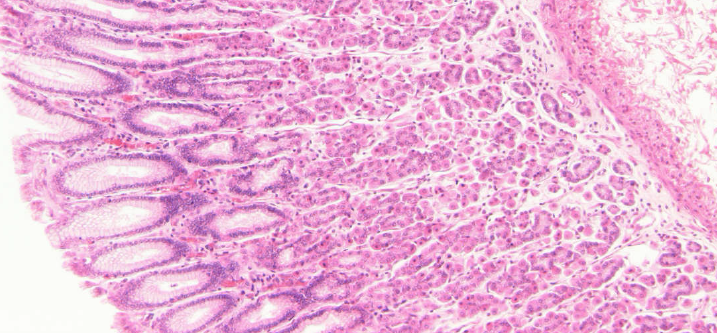 <p>welke structuur?</p>