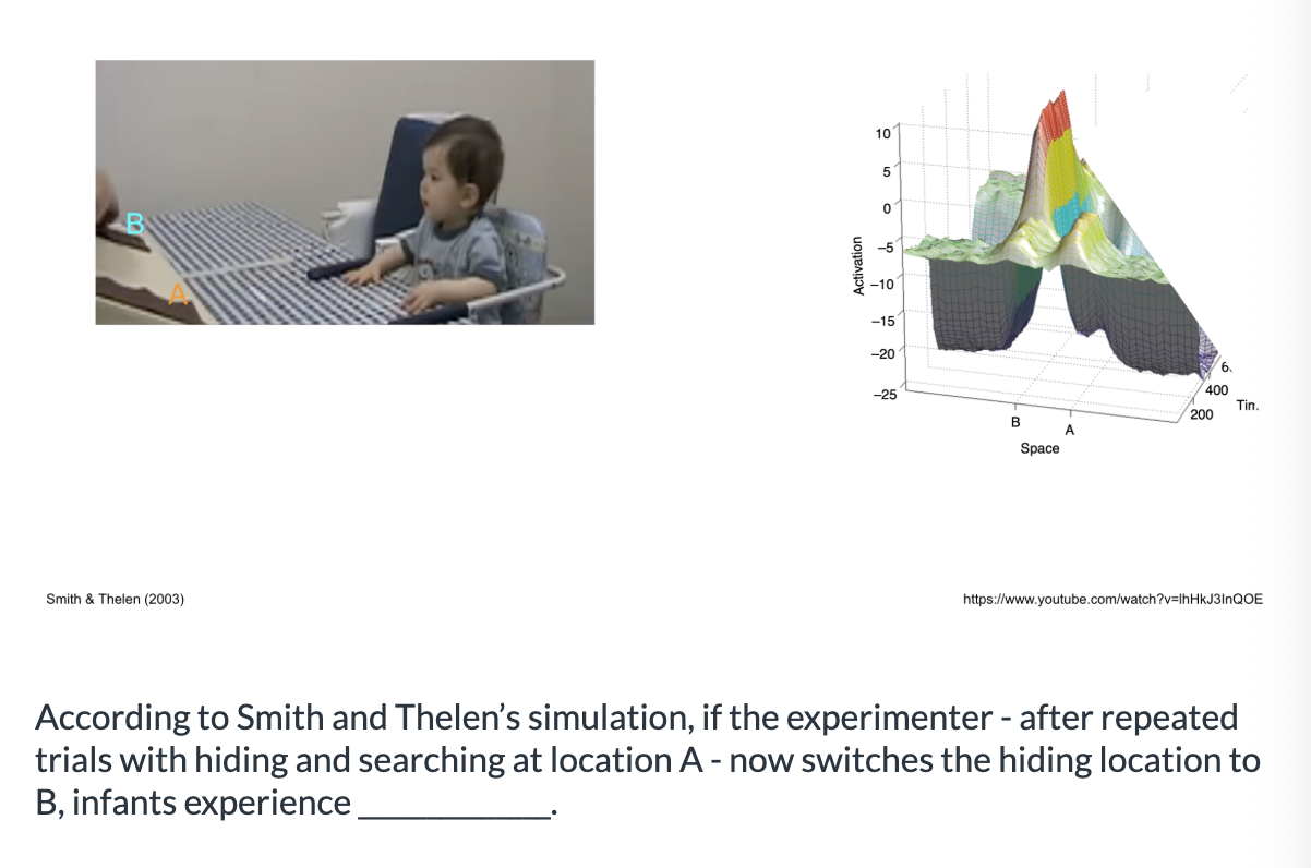 <ol><li><p><span>similar levels of activation at both locations&nbsp;</span></p></li><li><p><span>higher activation at location A&nbsp;</span></p></li><li><p><span>higher activation at location B&nbsp;</span></p></li></ol><p></p>