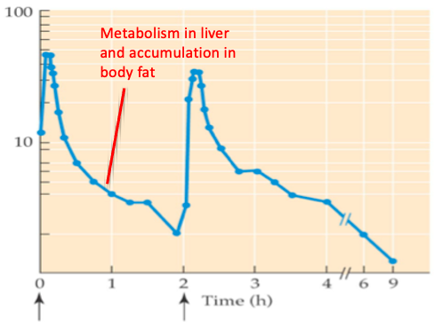 <p>within minutes - since cannabinoids are highly lipid-soluble </p><ul><li><p>it distributes to body fat stores - hence rapid decrease in peak concentration </p></li></ul><p></p>