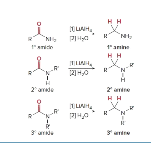 <p>1° Amide → 1° Amine</p><p>2° Amide → 1° Amine</p><p>3° Amide → 1° Amine</p><p></p><p>GETS RID OF C DOUBLE BOND O by adding H’s</p>