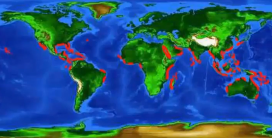 <p>Mangroves have adapted to waterlogged soils, saltwater w/changing salinity, shallow/shifting/soft sediments, shifting coastlines, waves. There are 38 species (+ ferns, palms, + trees that’re less typical). They actively exclude salt (some dump it in senescent leaves), have areal roots (extensions growing into air so they can dry a little) + buttress roots. They’re important bc they reduce rate of erosion, provide substrate for algae, food (for insects, molluscs, crabs, terrestrial mammals), nutrient cycling (leaves fall + their nutrients = recycled into environment), habitat. Found in tropical/subtropical habitats. </p>