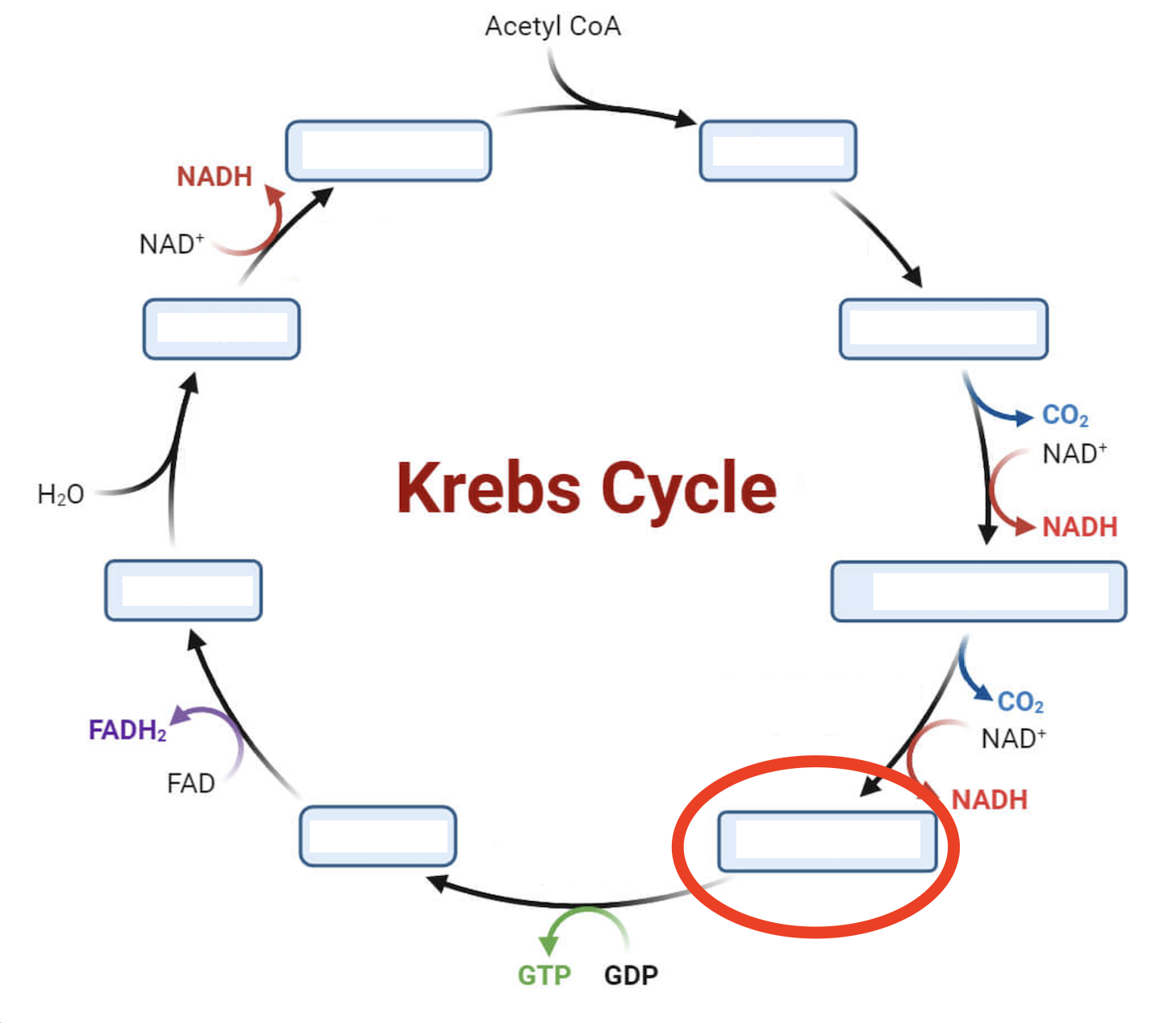<p>Intermediate 4</p>