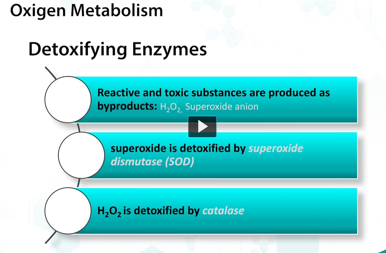 <p><u>oxygen metabolism</u></p><p>bacterial growth in oxygen is dependent on the expression of detoxifying enzymes. Because <strong>oxygen radicals </strong>are produced by <strong>bacteria</strong>, when they respire, <strong>detoxification</strong> of these <strong>reactive metabolites </strong>is <strong>crucial </strong>for <strong>survival. </strong></p><p>This requires enzymes such as <strong>superoxide dismutase</strong> and <strong>catalase</strong>, the main enzymes responsible for oxygen radical detoxification. </p>