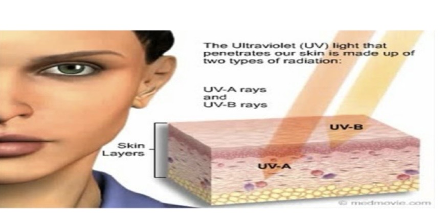 <p>UV A & B</p><p>UVB has a short wavelength that reaches the epidermis</p><p></p><p>UVA has a longer wavelength</p><p>That reaches the dermis</p>