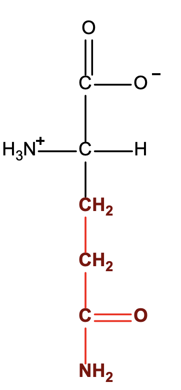 <p>Gln</p><p>Q</p>