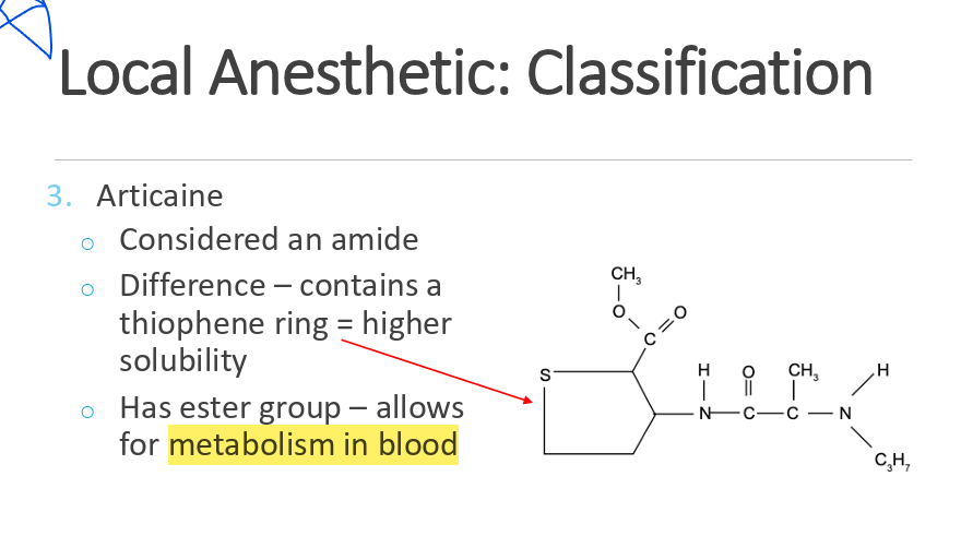 <p>its an amide but has ester group for blood metabolism. This unique structure allows for faster onset and shorter duration compared to other amides. </p>