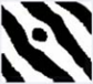 <p>An independent ridge with a length that is less than 2x the average width of the ridge</p>