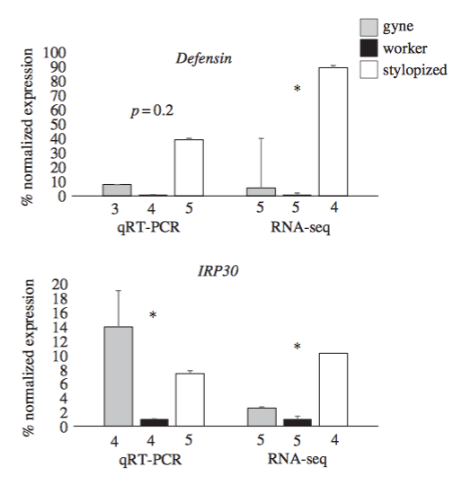<p>what does this figure show (wasp paper)</p>