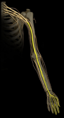 <p>Identify the structure</p>