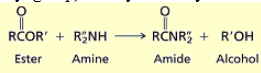 <p>you yield amides and alcohols. OR group leaves and is protonated with H from amine and replaced with NRR from amine. </p>