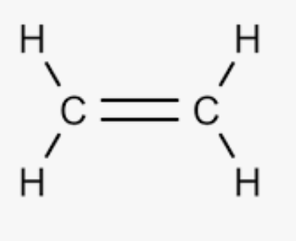 <p>hydrocarbon with one or more carbon-carbon double bonds</p>