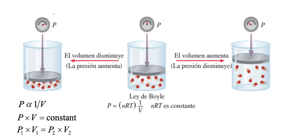 <p>Relaciona la presion y el volumen</p><p></p><p>La presion de una cantidad fija de gas a temperatura constante es inversamente proporcional al volmuen del gas</p>