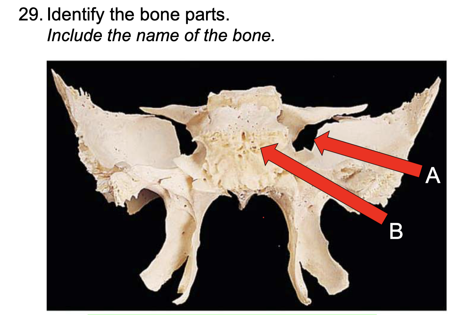 term image