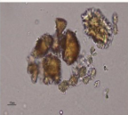 <p>Identify this crystal</p>