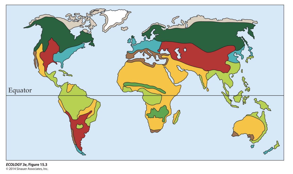 <ul><li><p>Each colour represents a different type of mycorrhizal association</p></li><li><p><span style="background-color: inherit; line-height: 19.55px; color: windowtext;">Evolved ind multiple times -> covers most of land</span><span style="line-height: 19.55px; color: windowtext;">&nbsp;</span></p></li></ul><p></p>
