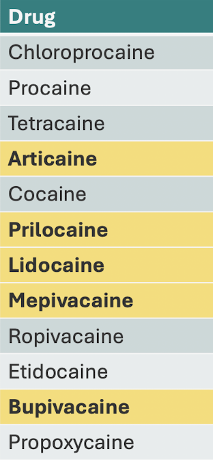 <p>Which drugs are amides? Which are esters?</p>