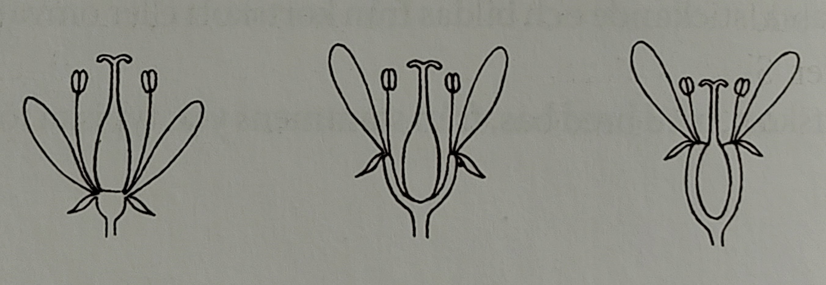 <p></p>