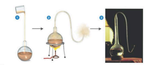 <p></p><ul><li><p>demonstrated that microorganisms are present in the air and can contaminate sterile solutions, but that air itself does not create microbes. It’s not the air that creates microbes, it’s just the place where they thrive but it is not where they arise from.</p></li><li><p>showed that microorganisms can be present in nonliving matter-on solids, in liquids, and in the air.</p></li><li><p>demonstrated conclusively that microbial life can be destroyed by heat and that methods can be devised to block the access of airborne microorganisms to nutrient environments . </p></li><li><p>form the basis of Aseptic Techniques.</p></li></ul><p></p>