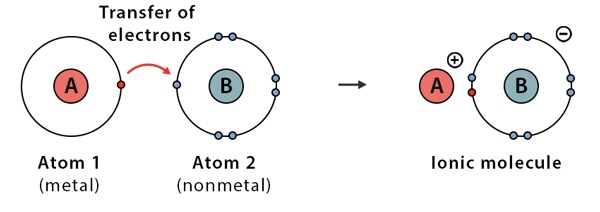 <p>transferred electrons</p><p>[ metal + non-metal ]</p>