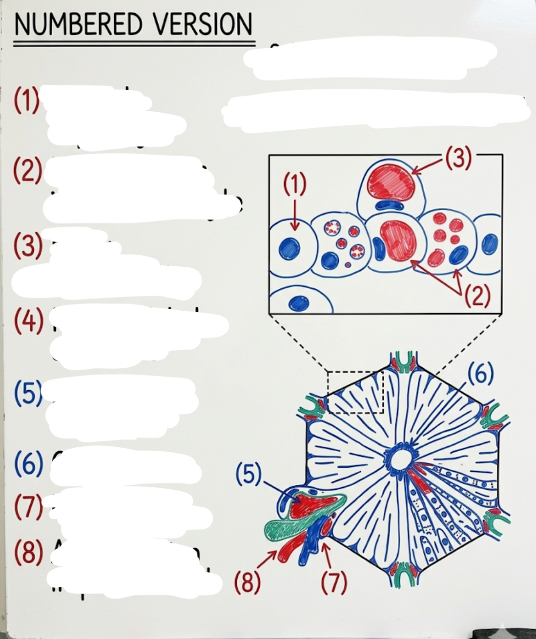 <p>ne</p>
