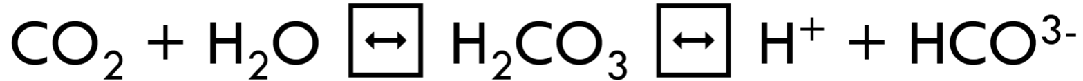 <p>Bicarbonate ion- weak base</p><p>Carbonic acid- weak acid</p><p>Does not function when there is a shortage of CO2</p><p></p>