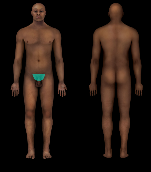 term image
