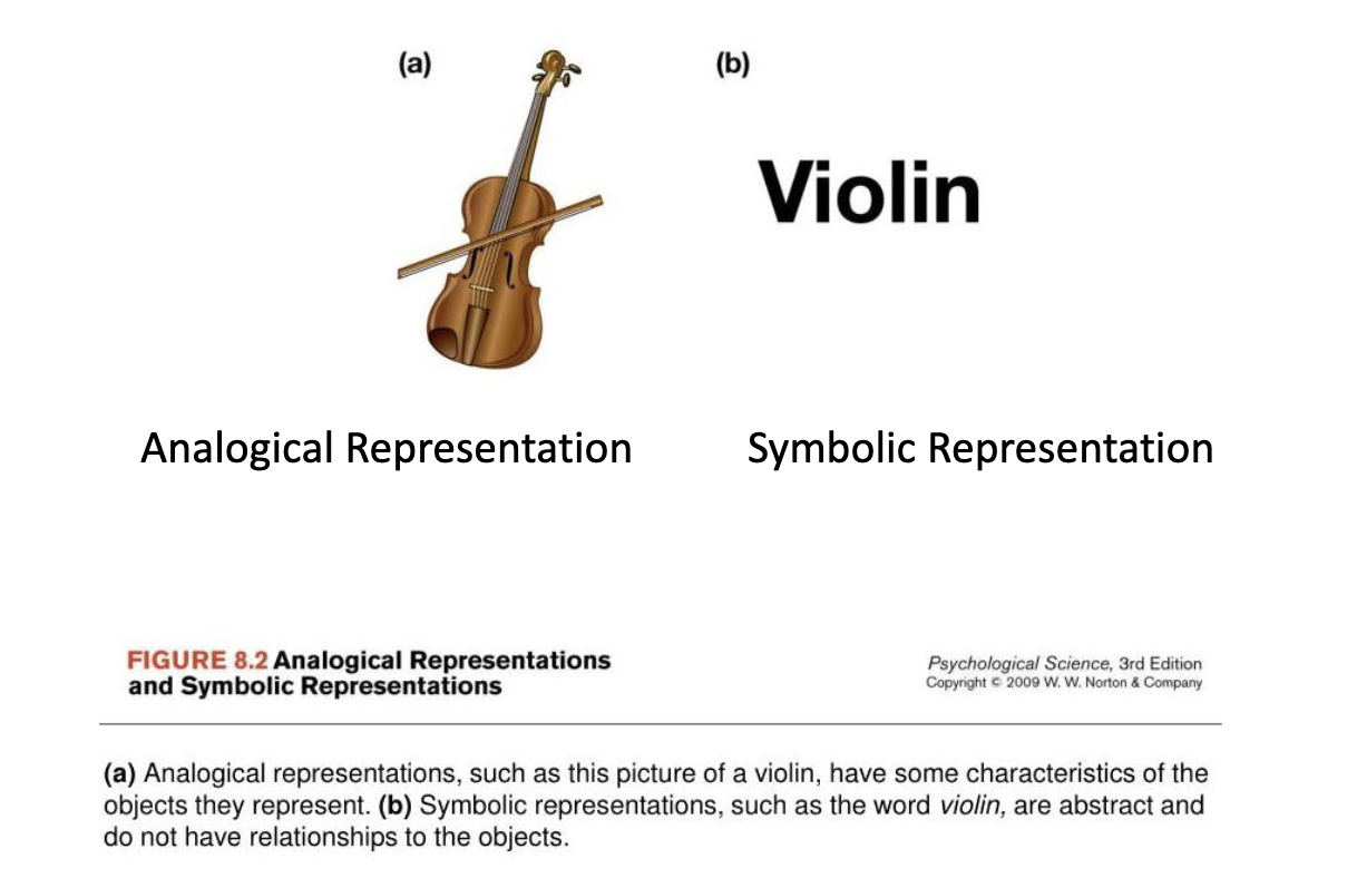 <p>Have some characteristics of the objects they represent </p>