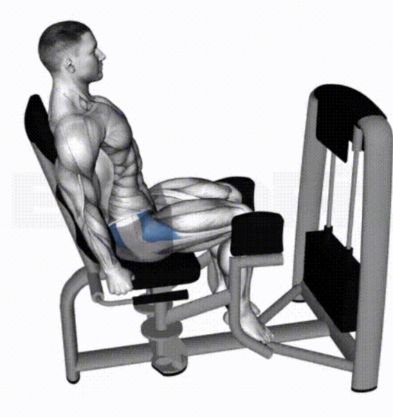 <p>Hip abduction machine target muscle and joint action</p>
