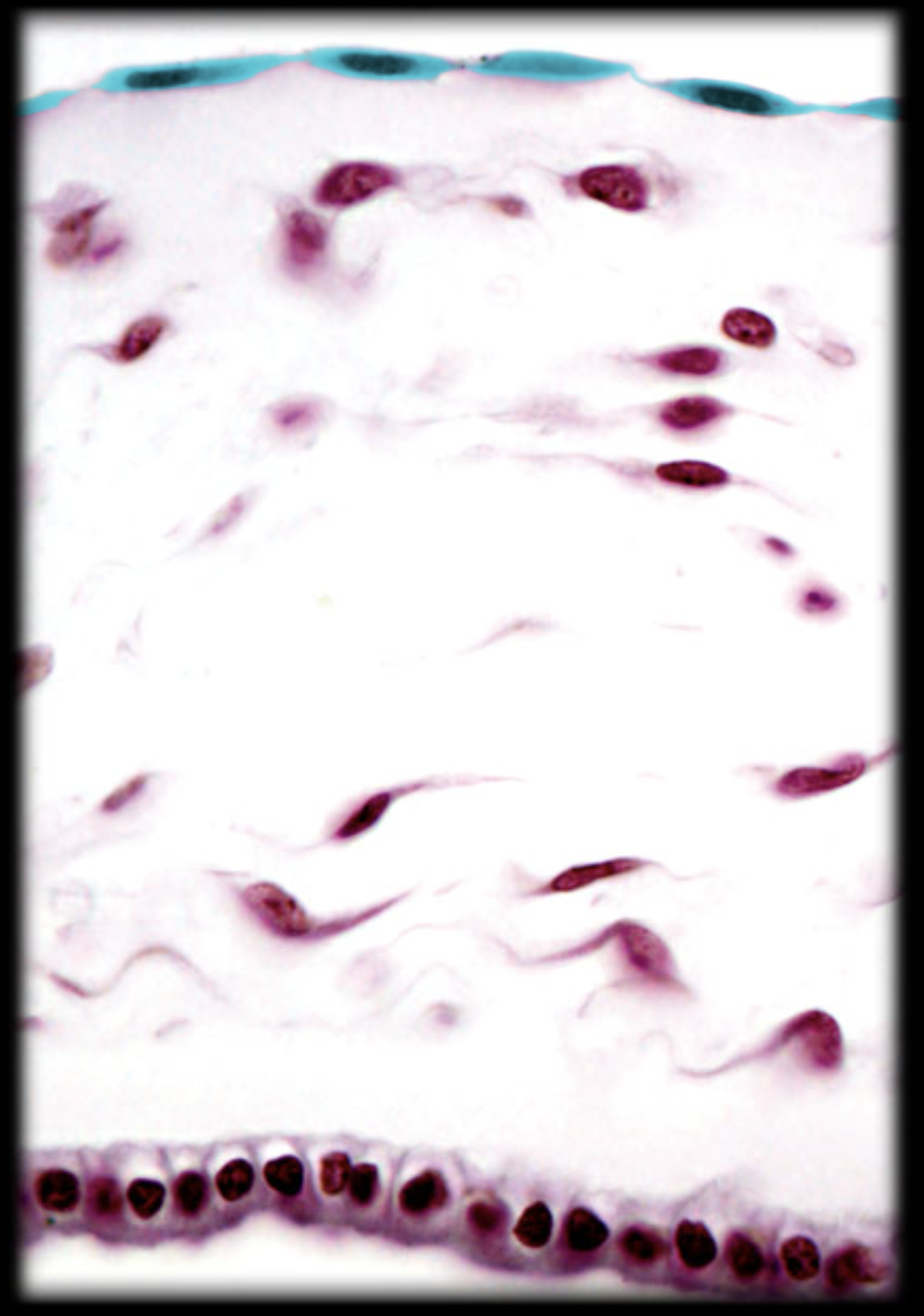 <p>What is highlighted</p>