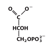 <p>What is this structure?</p>