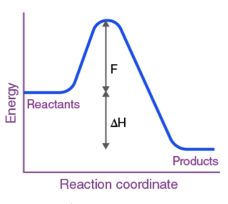 <p>Endothermic or Exothermic?</p>
